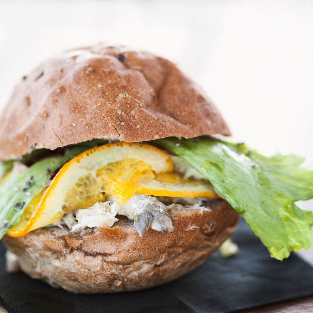 a62c5941472467.57a7cc2dd39cc