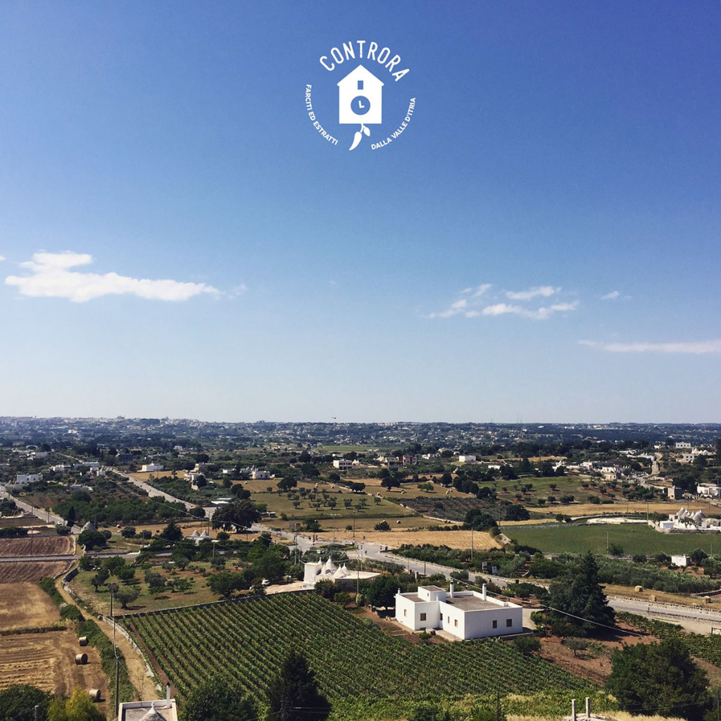 f18e3041472467.57a7cc2dd3372